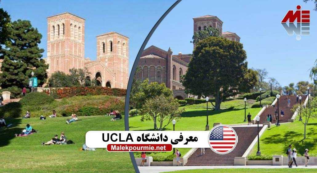 معرفی دانشگاه UCLA
