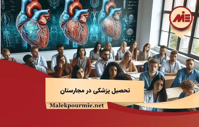 Medical education in Hungary1