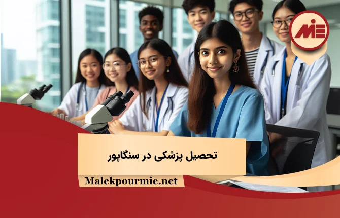 Study Medicine in Singapore 2