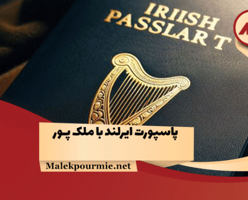 پاسپورت ایرلند