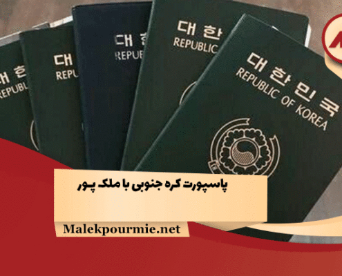 پاسپورت کره جنوبی