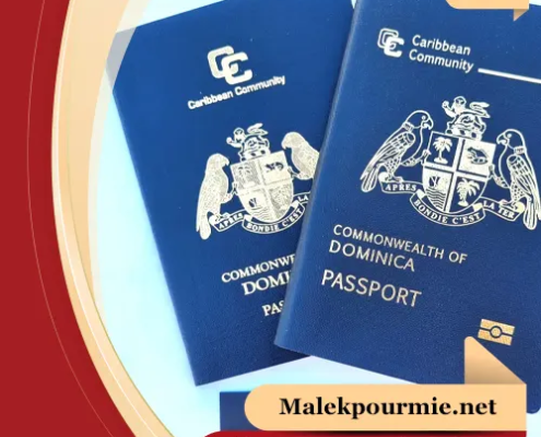 اخذ-پاسپورت-و-شهروندی-دومینیکا