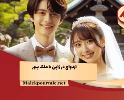 ازدواج در ژاپن