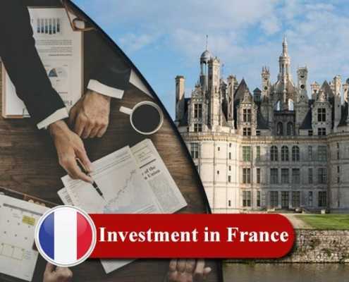 Investment in France 2