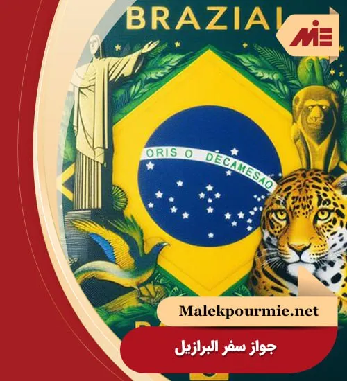 Brazil passport 2