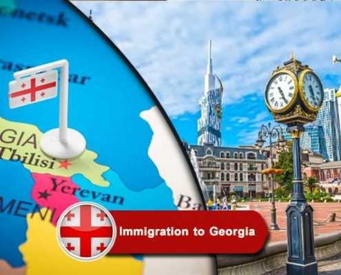 Immigration to Georgia index