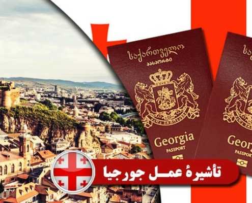 تأشيرة عمل جورجيا Index3