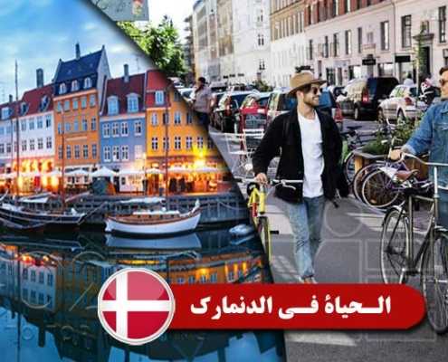 الحياة في الدنمارك Index3