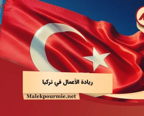 ريادة الأعمال في تركيا 1