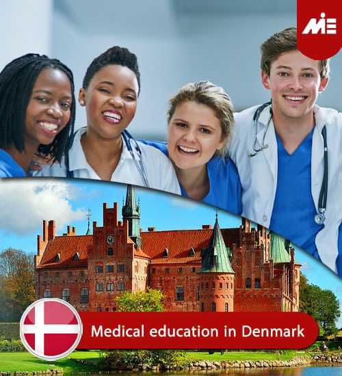 medical education in denmark