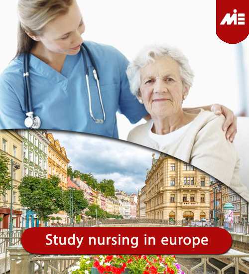 phd nursing europe