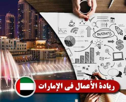 ريادة-الأعمال-في-الإمارات----Index3