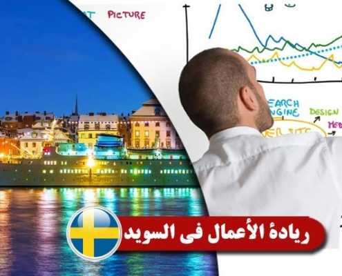 ريادة-الأعمال-في-السويد----Index3