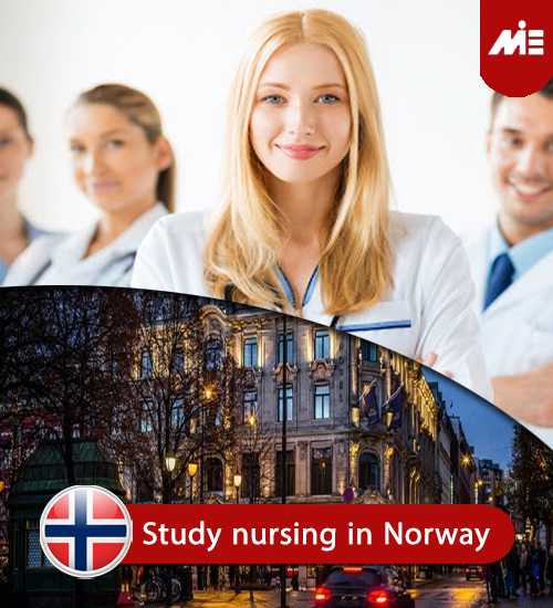 phd in nursing in norway