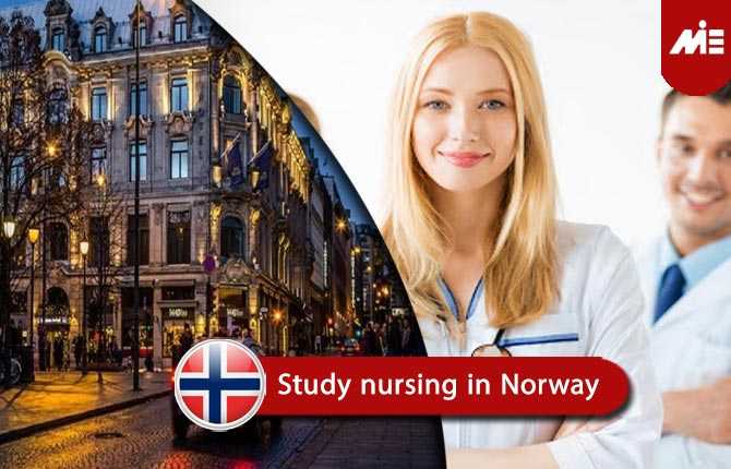 phd in nursing in norway