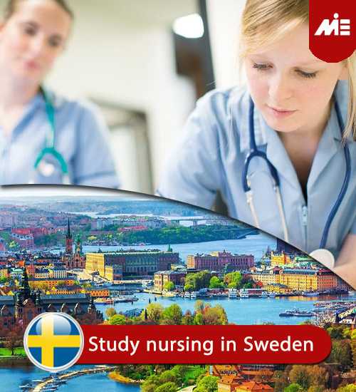 phd of nursing in sweden