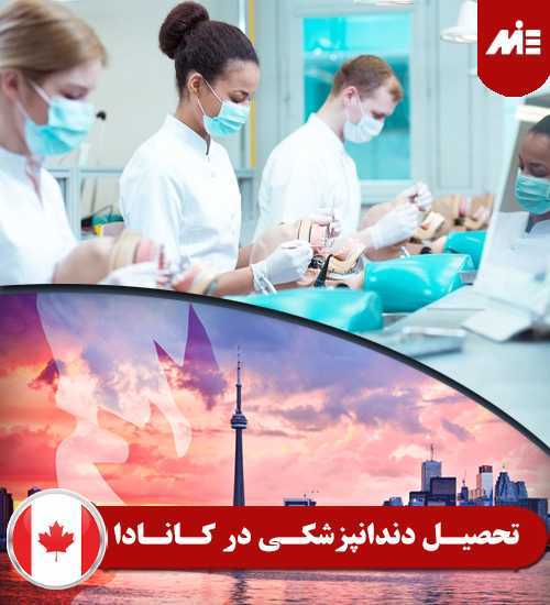 تحصیل دندانپزشکی در کانادا تحصیل در رشته داروسازی در کانادا