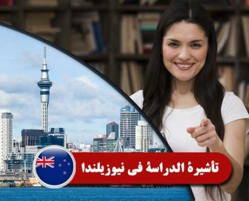 تأشيرة-الدراسة-في-نيوزيلندا----index