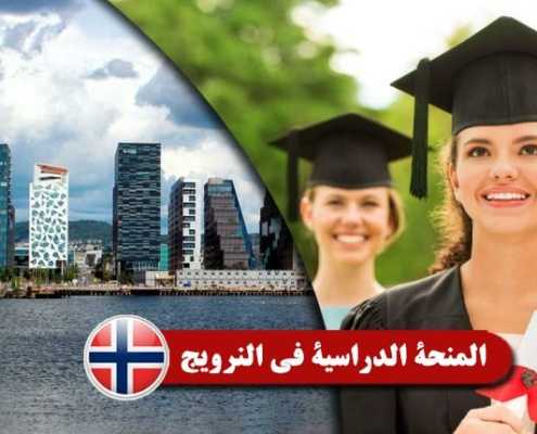 المنحة-الدراسية-في-النرويج----Index3