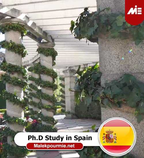 Ph.D Study in Spain2 1