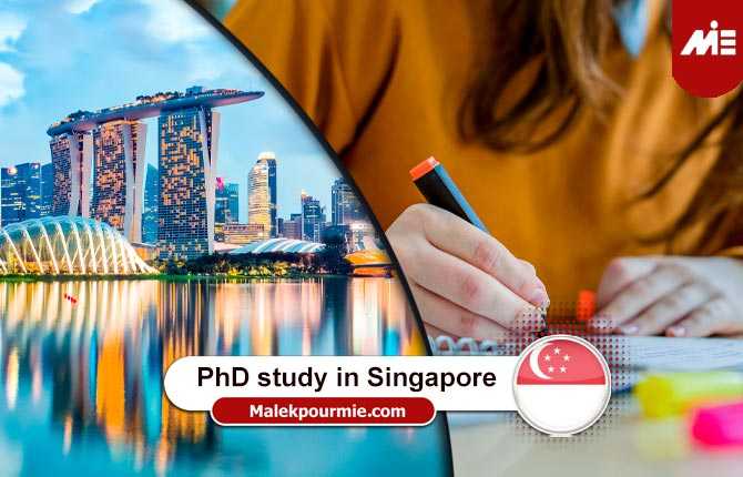 phd online singapore