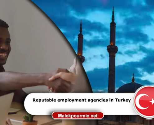 Reputable employment agencies in Turkey 1