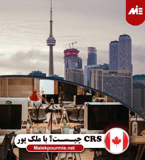 CRS چیست کار در کانادا