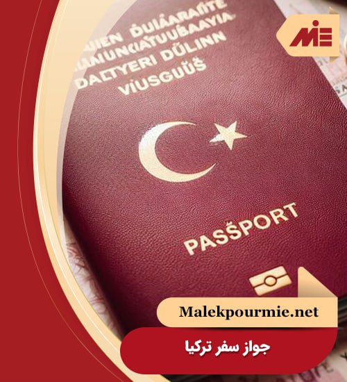 Turkiye passport 2