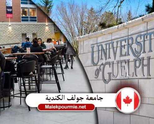 جامعة جولف الكندية