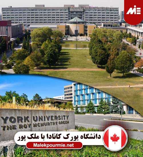 دانشگاه یورک کانادا 1