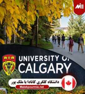 دانشگاه کلگری کانادا 1 273x300 دانشگاه واترلو کانادا