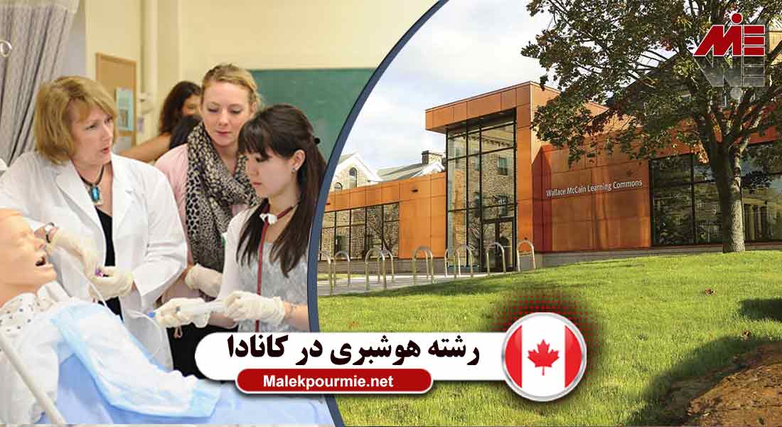 رشته هوشبری در کانادا 3 رشته هوشبری در کانادا