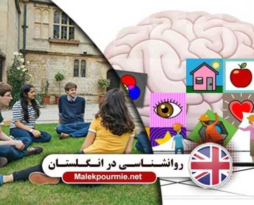 روانشناسی در انگلستان 5 495x400 مقالات