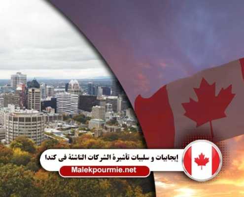 إيجابيات و سلبيات تأشيرة الشركات الناشئة في كندا 2