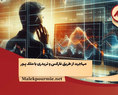 Migration through forex and trading1