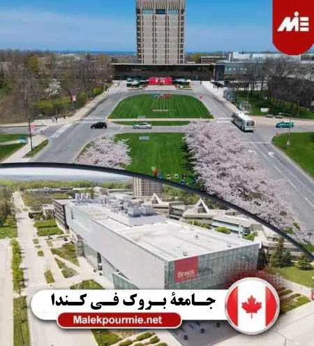 جامعة بروك في كندا
