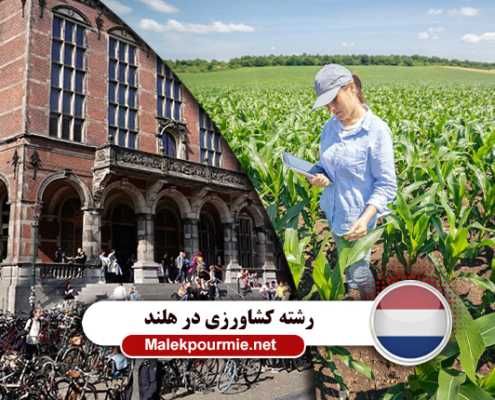 شرایط تحصیل رشته کشاورزی در دانشگاه های هلند
