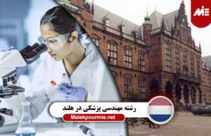 شرایط تحصیل و بازار کار رشته مهندسی پزشکی در هلند