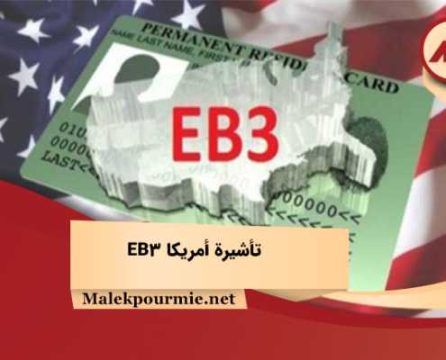 تأشيرة أمريكا EB3 1