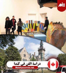 دراسة الفن في كندا 3