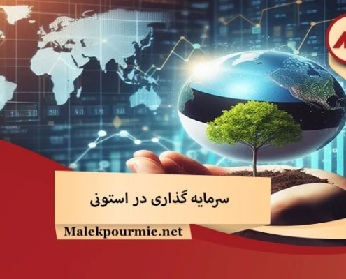 سرمایه گذاری در استونی