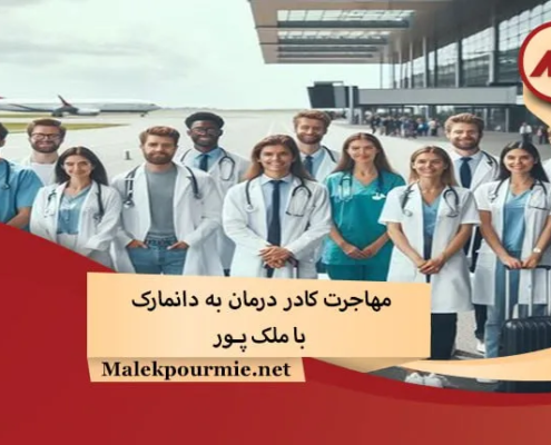 Migration of medical staff to Denmark1