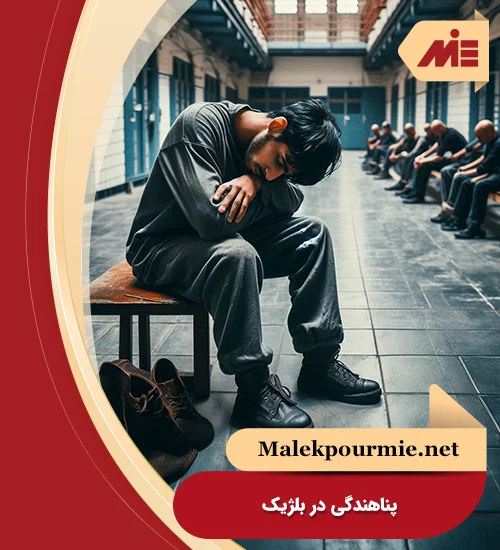 پناهندگی در بلژیک